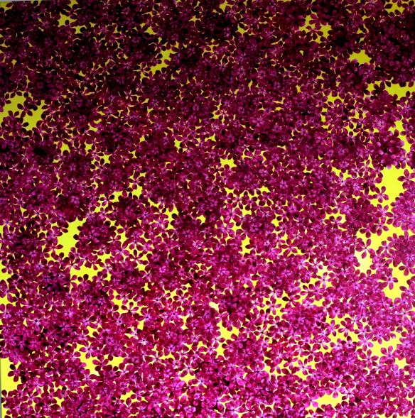 rootless yet not alone