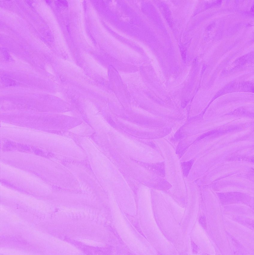 acacrylic on canvas 60 x 60 cm