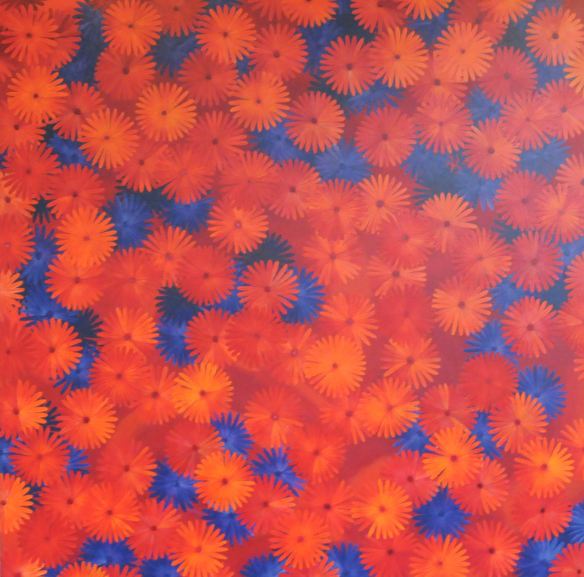 oranssit siniset kukat iso